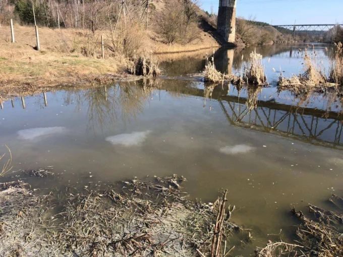 Під Житомиром нечистоти потрапили у річку Тетерів