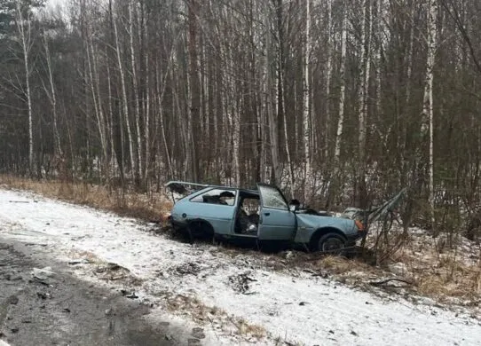 Смертельна ДТП на Житомирщині: зіткнулися два авто, водій одного - загинув