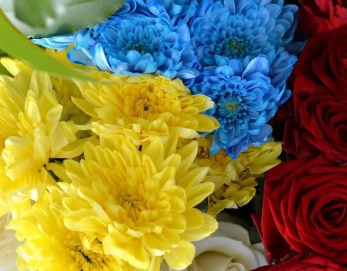 У Житомирі прощаються з двома військовослужбовцями, які героїчно загинули, захищаючи Україну