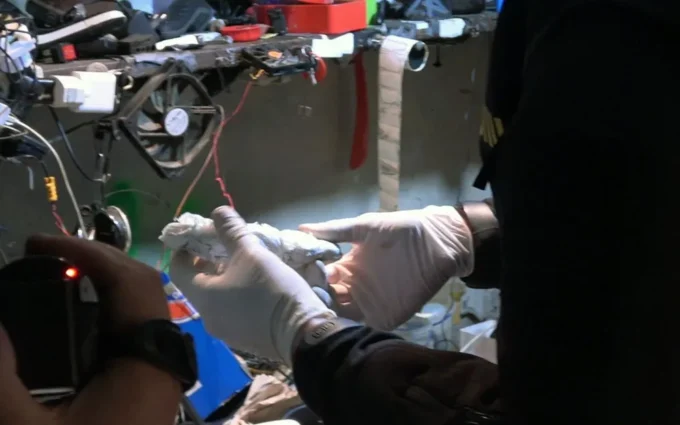 У Житомирі в підвалі багатоповерхівки влаштували нарколабораторію, дилерами були жінки