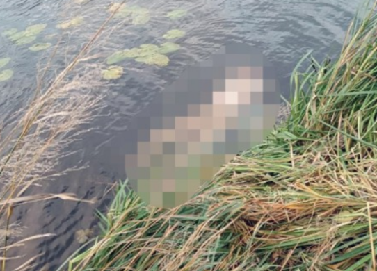 На Житомирщині тесть вбив свого зятя та розчленував - поліція завершила розслідування