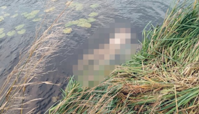 На Житомирщині тесть вбив свого зятя та розчленував - поліція завершила розслідування