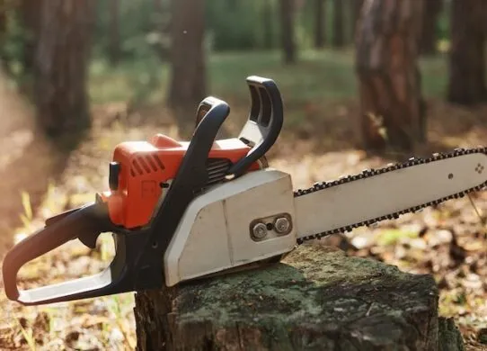 Бензопила или электрическая цепная?