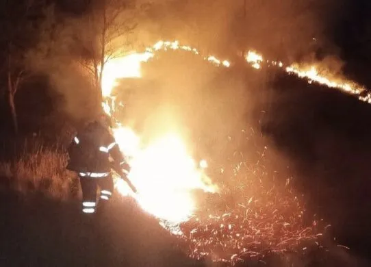 Через загоряння сухої трави на Житомирщині постраждав місцевий житель