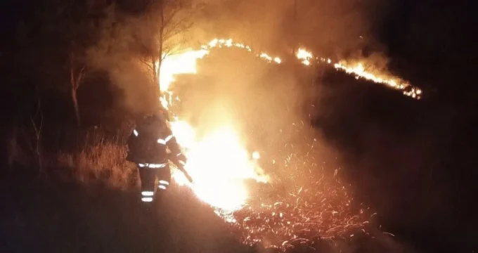 Через загоряння сухої трави на Житомирщині постраждав місцевий житель