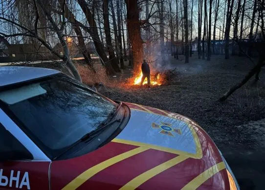 На вихідних у Житомирській області загинула людина внаслідок загоряння сухої трави