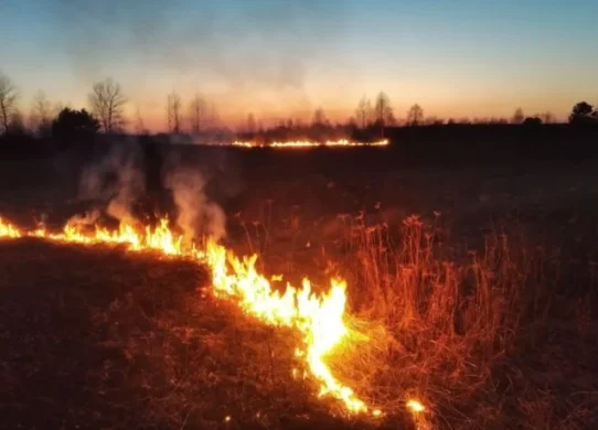 За минулу добу на Житомирщині ліквідували 10 пожеж
