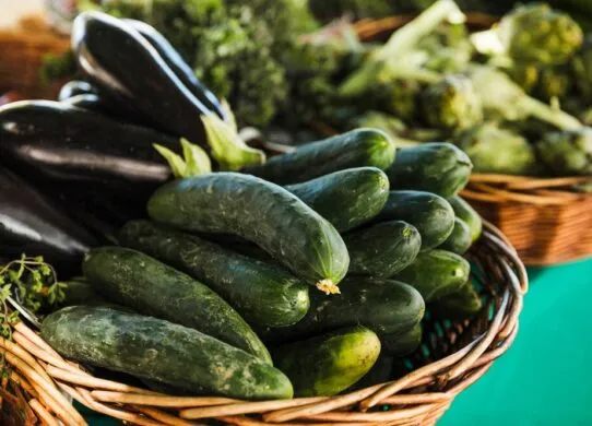 Місячний календар посадки огірків: як і коли огірки садити у відкритий ґрунт?