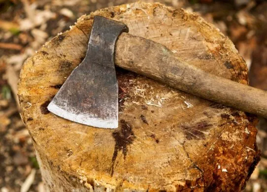 У Житомирі чоловік кілька разів вдарив товариша сокирою по голові