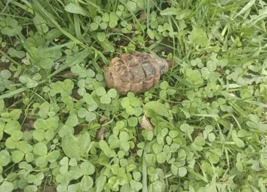 На Житомирщині виявили два боєприпаси часів Другої світової війни