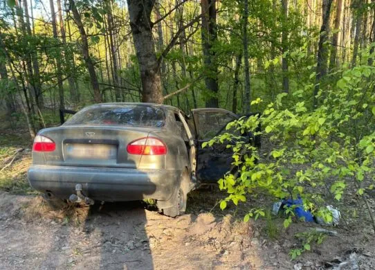 На Житомирщині авто з'їхало у кювет та врізалося в дерево - постраждали дві жінки
