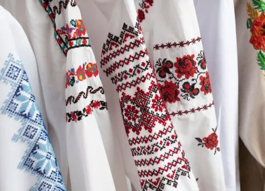 Для дітей та дорослих: заходи до Дня вишиванки у Житомирі