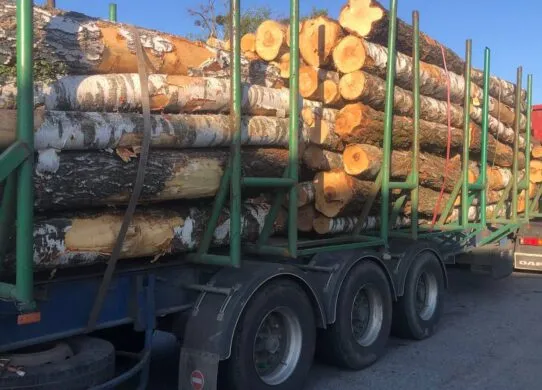 На Житомирщині зупинили кілька вантажівок, які перевозили деревену без документів