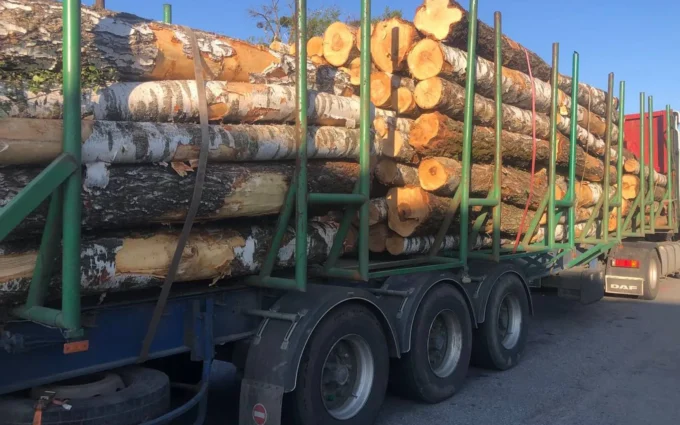 На Житомирщині зупинили кілька вантажівок, які перевозили деревену без документів