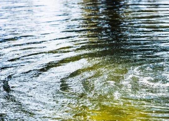 У Житомирі планується промивка мереж: можуть бути витоки на дорогах та знижений тиск водопостачання