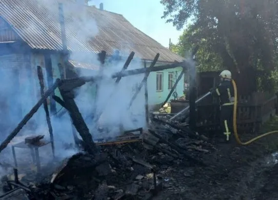 Дві приватних оселі врятували від знищення вогнем на Житомирщині