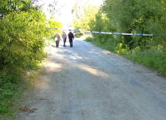 На Житомирщині мопед з пасажирами з'їхав у кювет - одна людина загинула, а п'яний водій втік