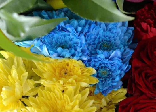 Через 10 місяців після загибелі, до Житомира повернули тіло захисника Петра Рихвальського