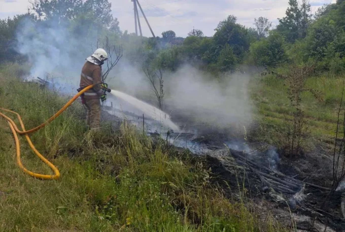 На Житомирщині за добу сталося 14 пожеж в екосистемах