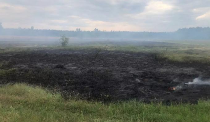 За добу на Житомирщині загасили 6 пожеж в екосистемі