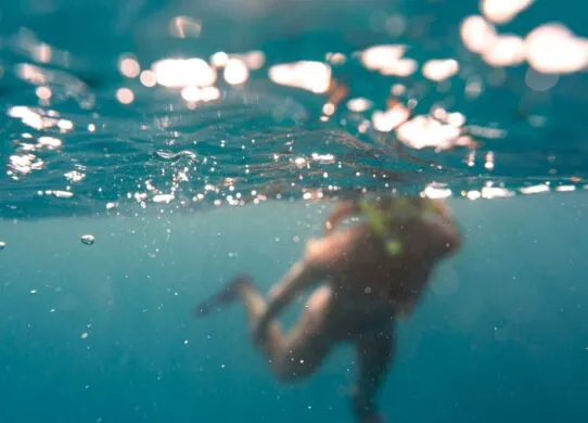 У Житомирі не рекомендують купатися на пляжах Гідропарку