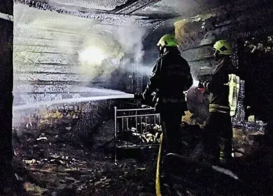 Мешканець Житомирської області намагався самостійно загасити пожежу та отримав серйозні опіки
