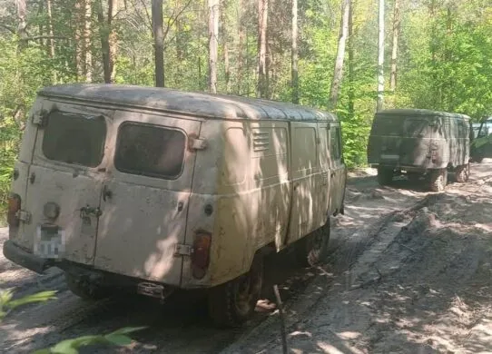 На Житомирщині прикордонники зупинили автомобілі, які незаконно перевозили лісодеревину