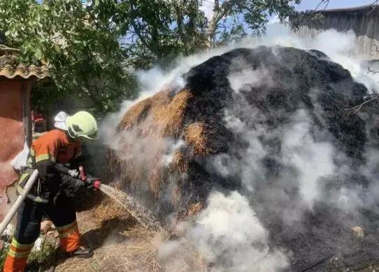 На Житомирщині 8-річний хлопчик бавився із сірниками та спалив альтанку з дерева