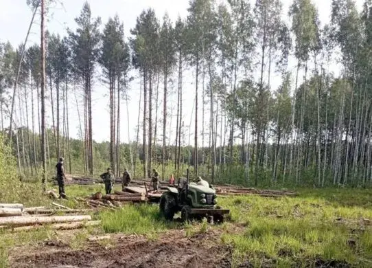 На Житомирщині запобігли спробі незаконно вивезти ліс