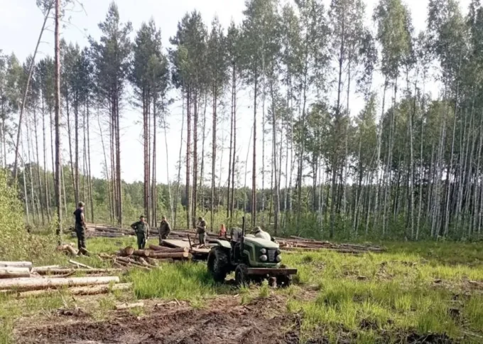 На Житомирщині запобігли спробі незаконно вивезти ліс