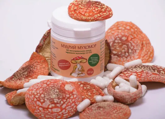 Защита от бактериальных и вирусных инфекций с помощью микродозинга мухомора