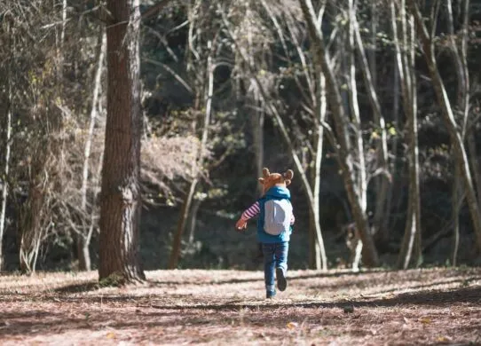 На Житомирщині 8-річний хлопчик зник у лісі - його шукали 8 годин