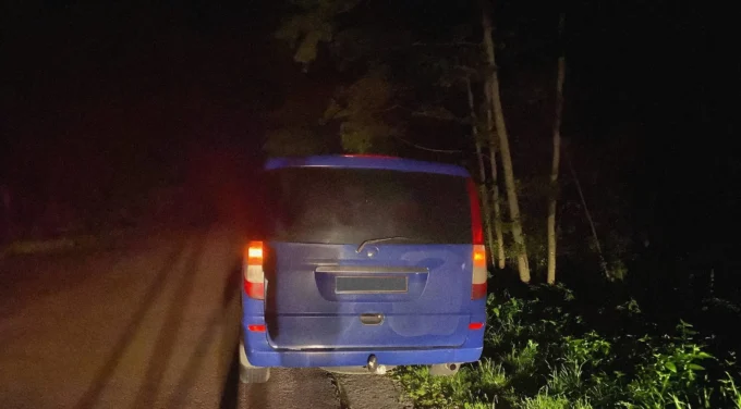 На Житомирщині вночі збили насмерть дорослого лося