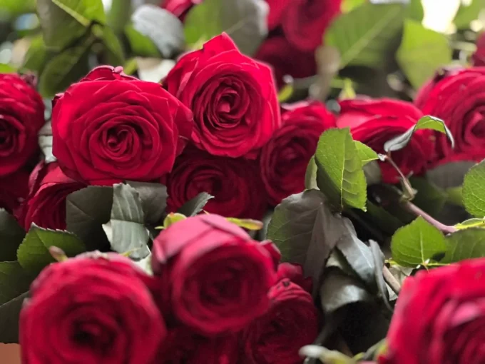 Житомир прощається з Героєм Анатолієм Радзіховським