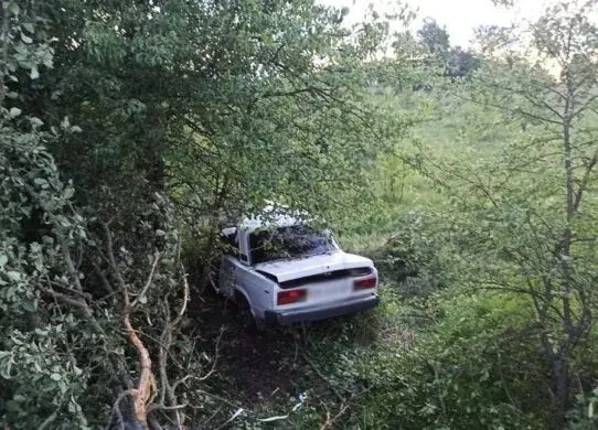 На Житомирщині авто з'їхало у кювет та врізалось у дерево - водій загинув