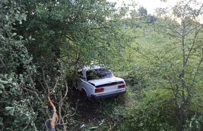 На Житомирщині авто з'їхало у кювет та врізалось у дерево - водій загинув