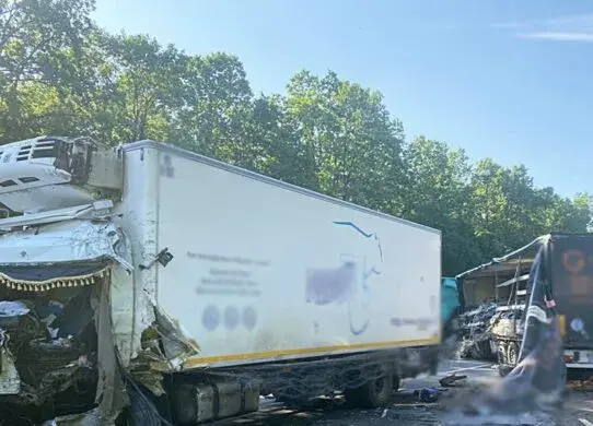 Смертельна ДТП на Житомирщині: легковик врізався у вантажівку