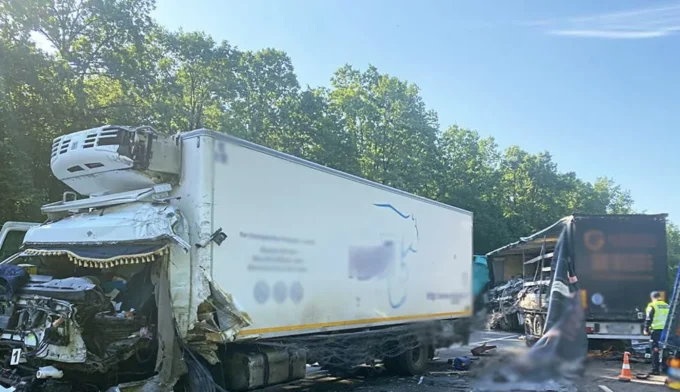 Смертельна ДТП на Житомирщині: легковик врізався у вантажівку
