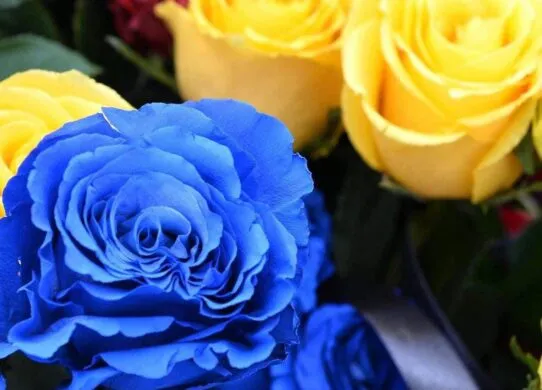 У червні загинуло двоє захисників з Житомира