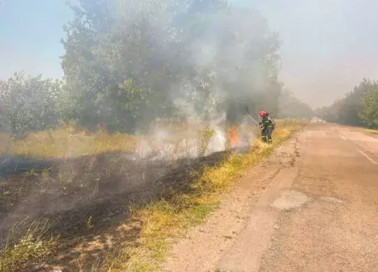За вихідні на Житомирщині рятувальники виїздили на 16 пожеж в екосистемах