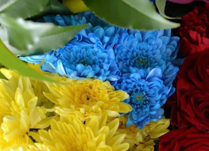 На фронті загинув 23-річний житомирянин