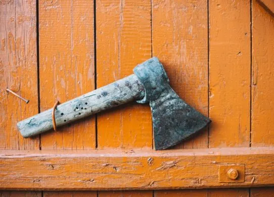 Мешканець Житомирщини жорстоко вбив та розчленував власну матір