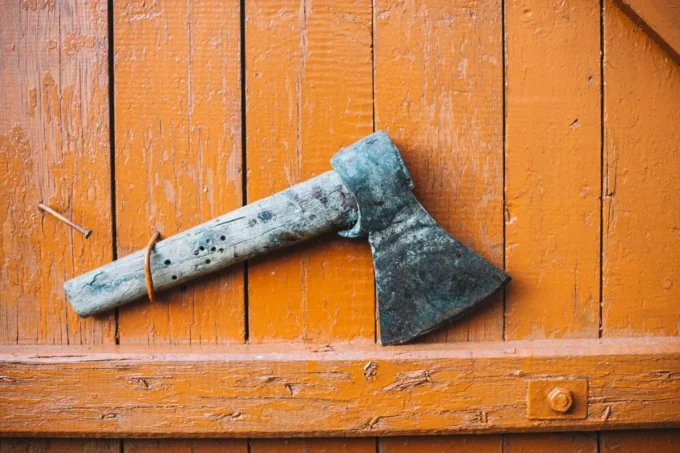 Мешканець Житомирщини жорстоко вбив та розчленував власну матір