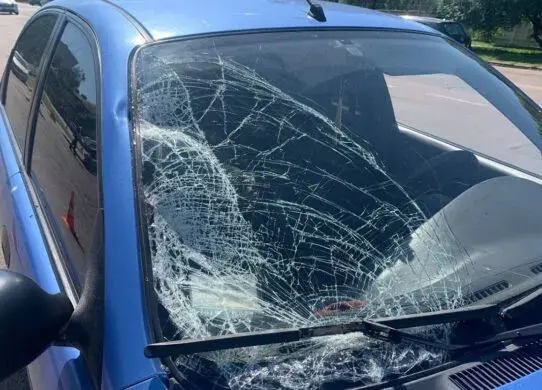 У Житомирі завершили розслідування щодо ДТП, в якому загинув пішохід