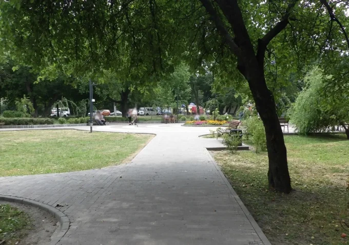 У сквері на житомирянку, яка вигулювала собак, з ножем накинувся невідомий