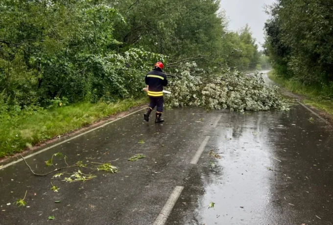 Через погоду в Житомирській області повалило дерева