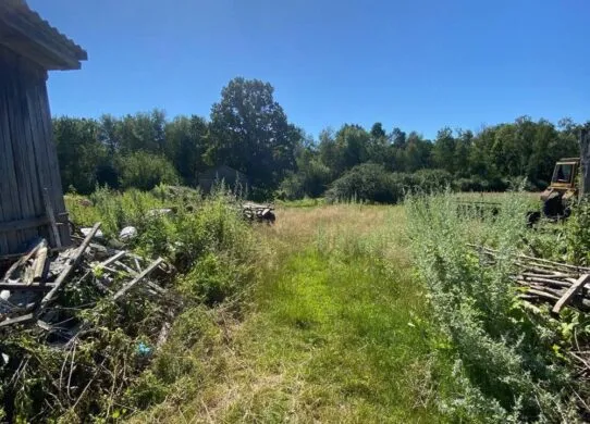 Мешканка Житомирщини приїхала на дачу та застала там непроханого сусіда, через що той вбив жінку