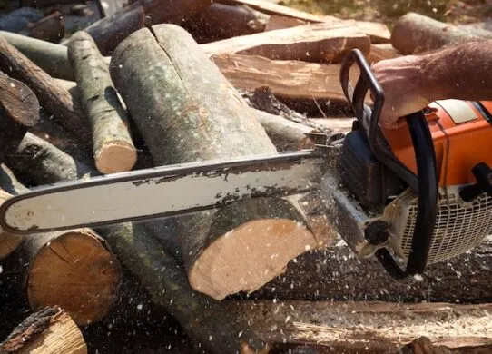 Бензопила: эффективный инструмент для садоводов и строителей