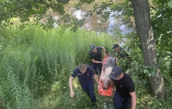 На Житомирщині чоловік заплутався у рибацьких сітках і потонув