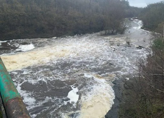 Стан річки, звідки вода потрапляє у крани житомирян, влітку значно погіршується